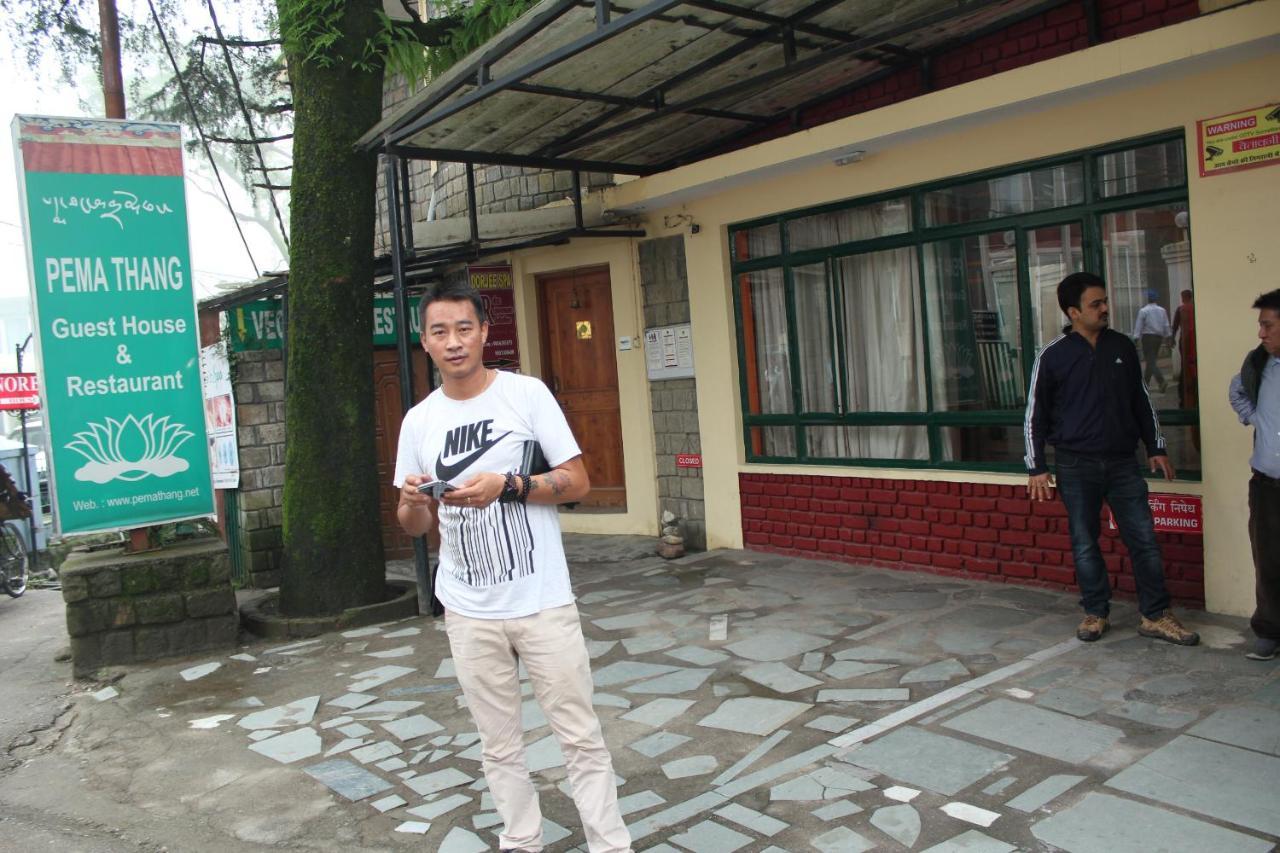 Pema Thang Hotel Kangra Exterior photo