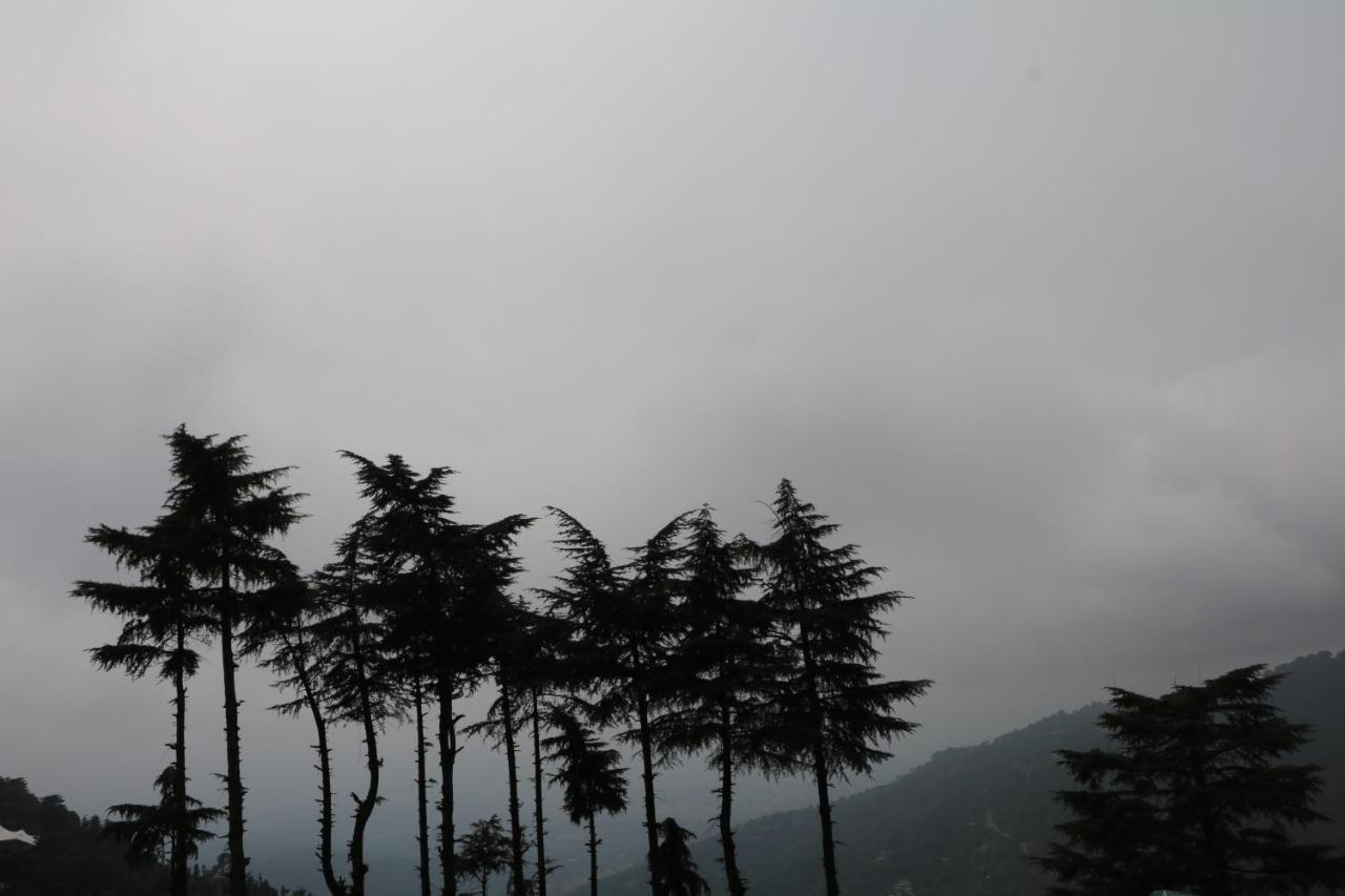 Pema Thang Hotel Kangra Exterior photo